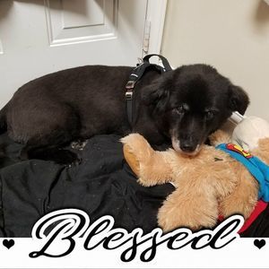 Meet your Posher, Cheryl